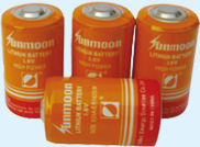 Lithium Thionyl Chloride Batteries