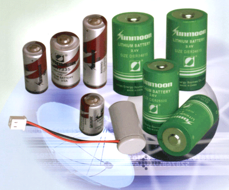 Lithium Thionyl Chloride Batteries-High Energy